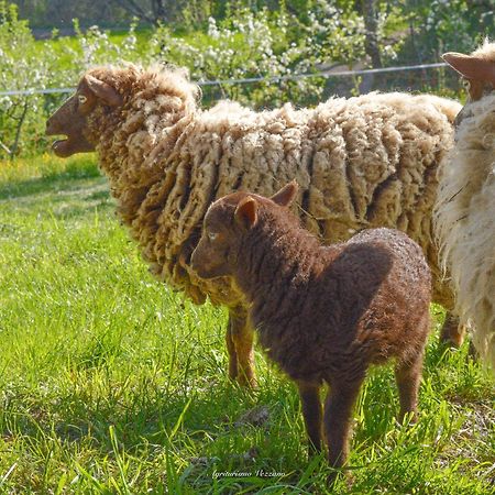 Agriturismo Vezzano 치우시 델라 베르나 외부 사진