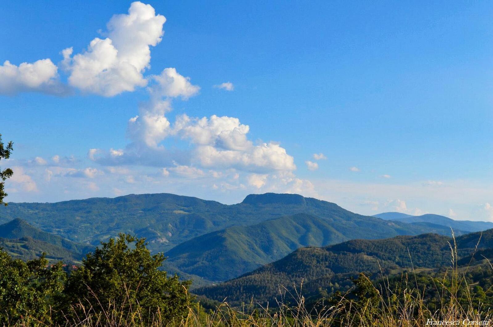 Agriturismo Vezzano 치우시 델라 베르나 외부 사진