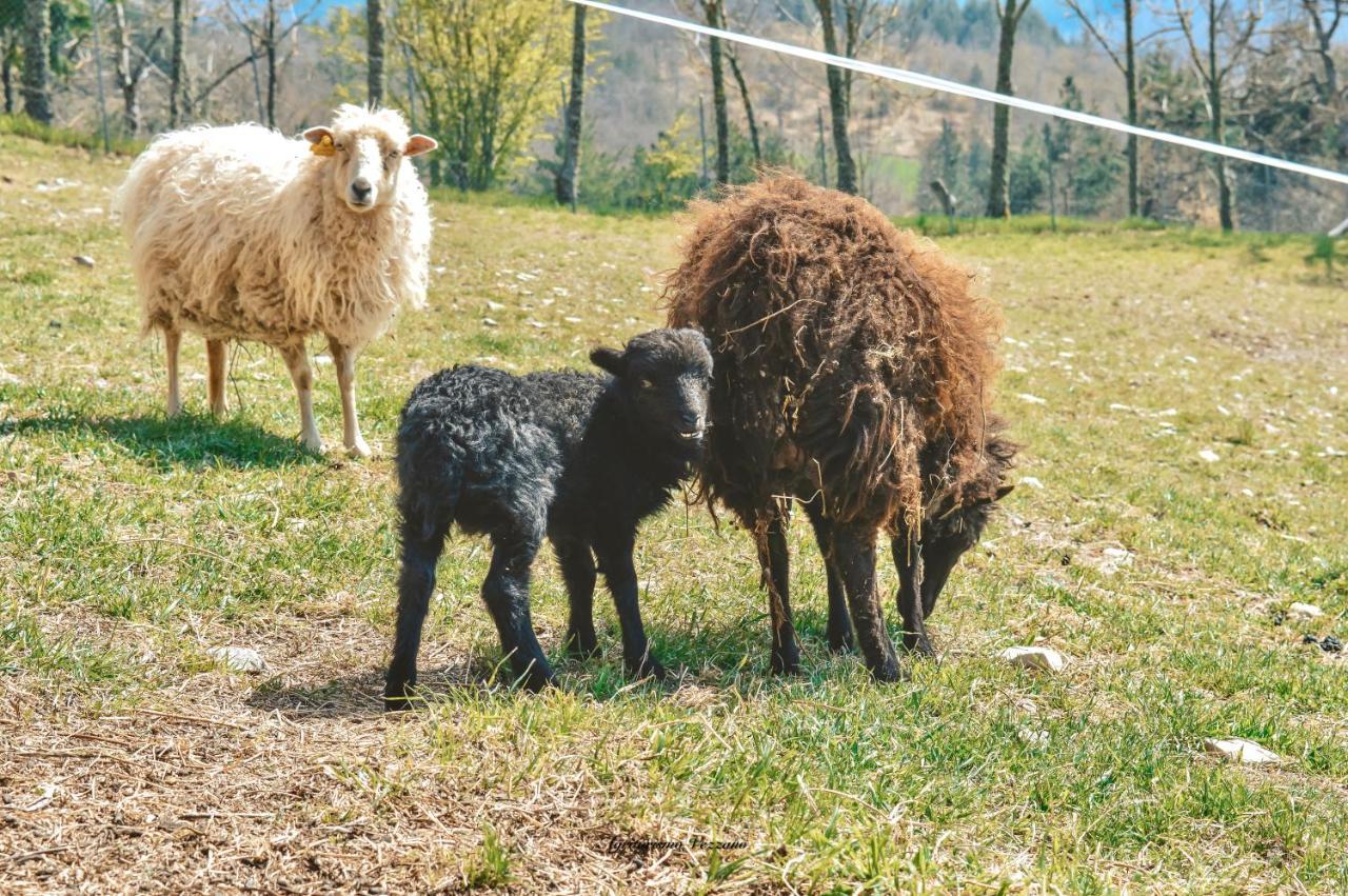 Agriturismo Vezzano 치우시 델라 베르나 외부 사진
