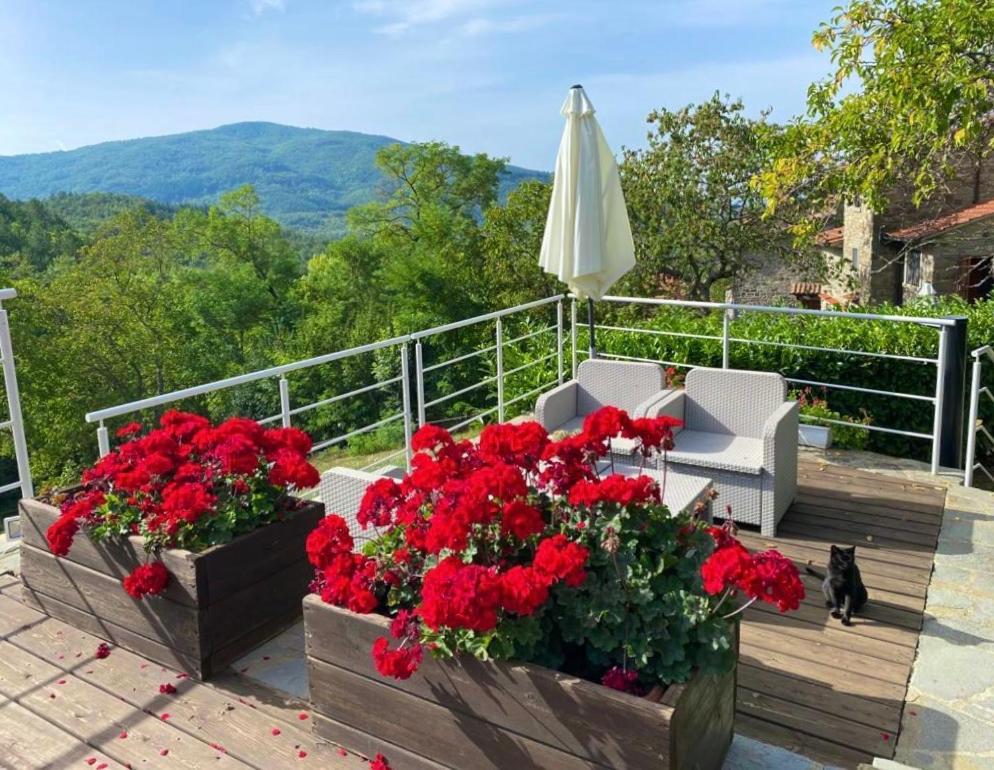 Agriturismo Vezzano 치우시 델라 베르나 외부 사진